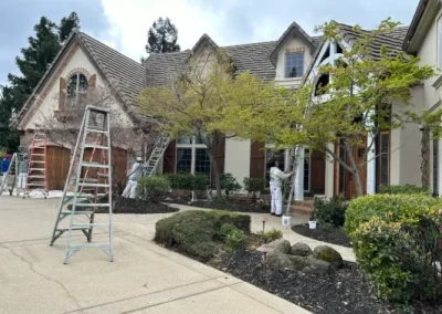Top-rated painting service